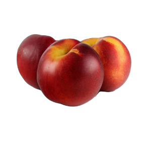 شفتالو