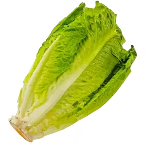 بسته ۳۰ هزاری کاهو