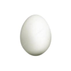 تخم مرغ تکی